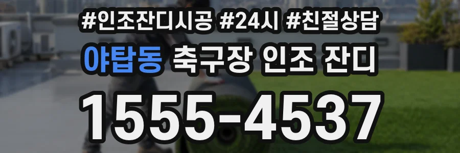 야탑동 축구장 인조 잔디