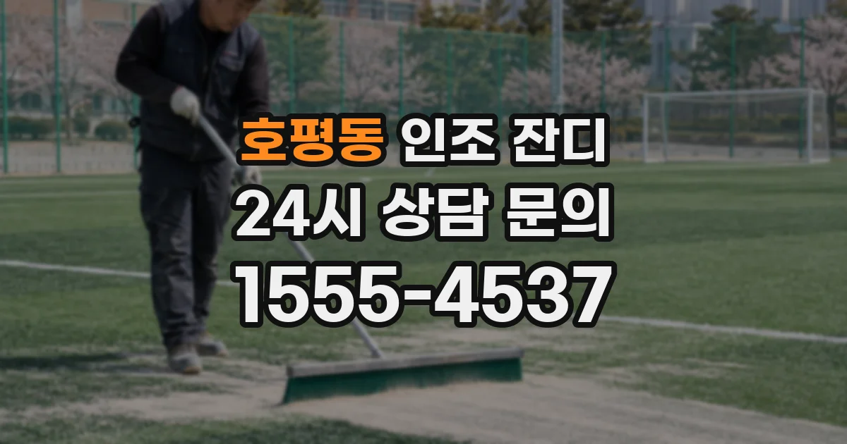 호평동 인조 잔디