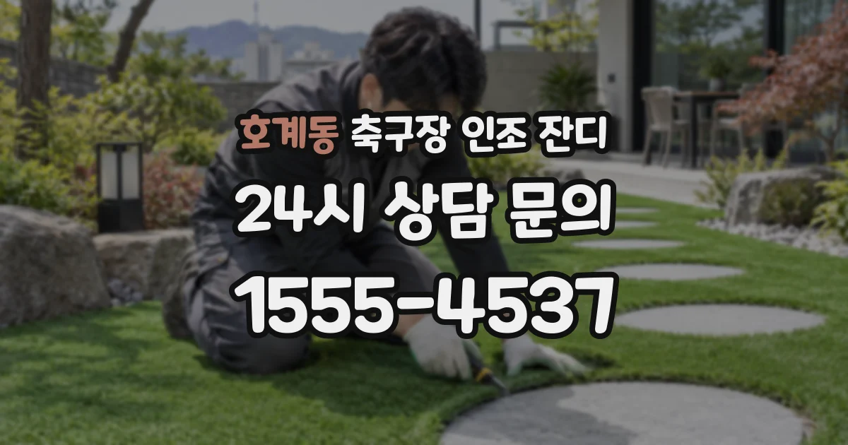 호계동 축구장 인조 잔디