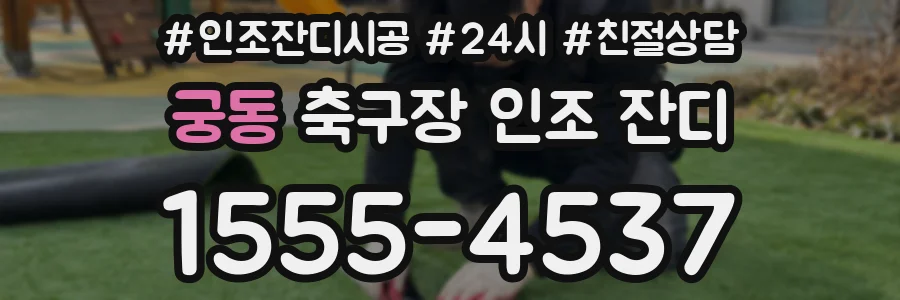 궁동 축구장 인조 잔디