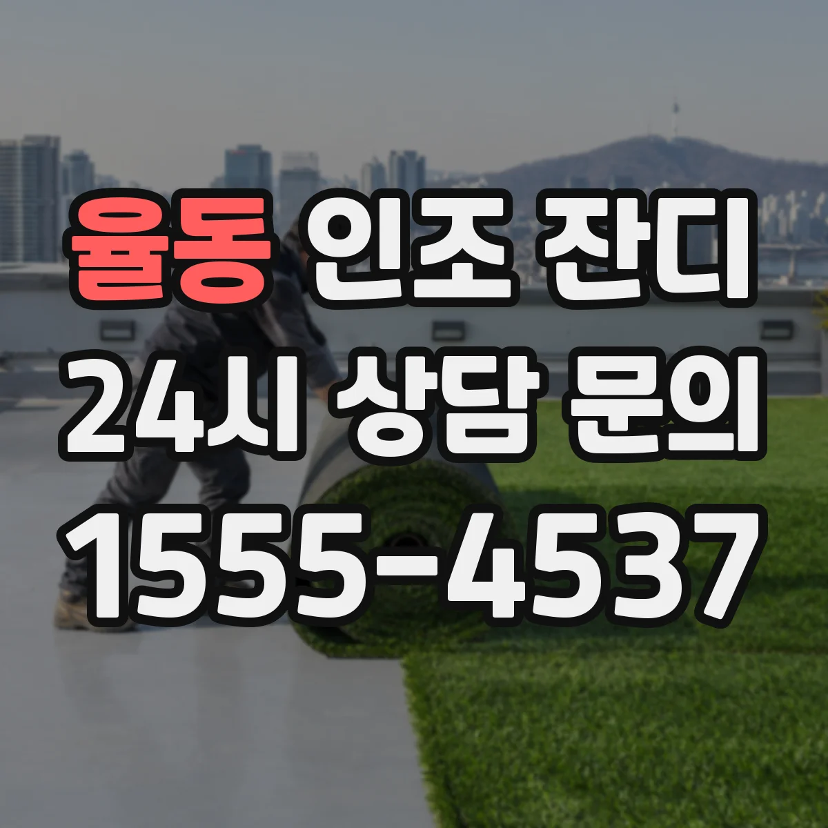 율동 인조 잔디