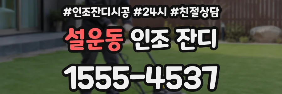 설운동 인조 잔디
