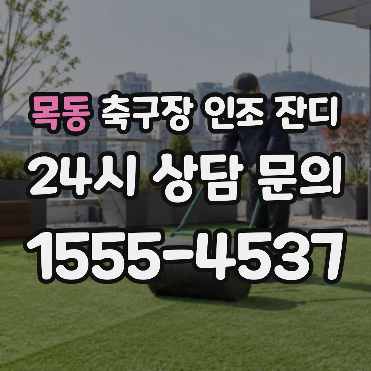 목동 축구장 인조 잔디