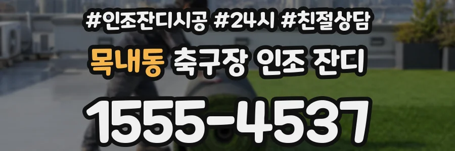 목내동 축구장 인조 잔디