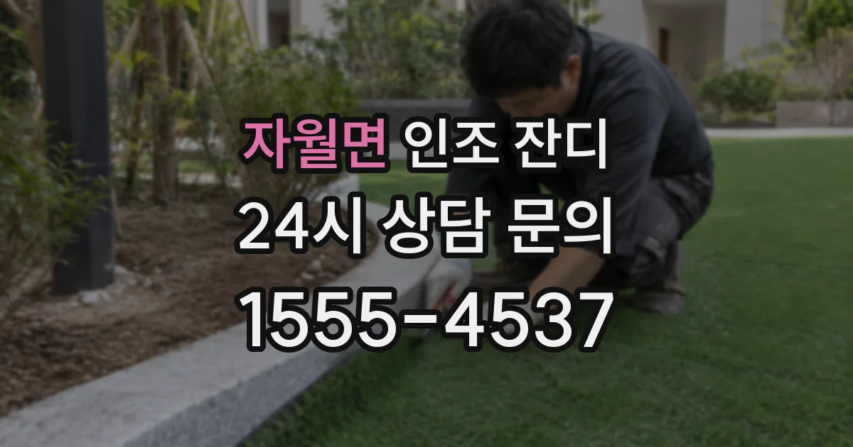 자월면 인조 잔디