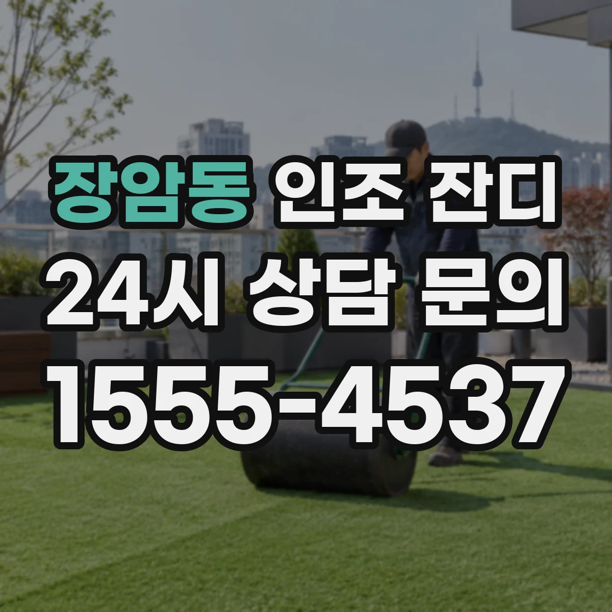 장암동 인조 잔디