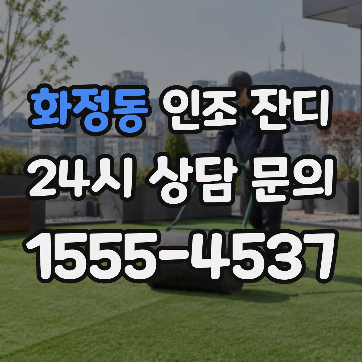 화정동 인조 잔디