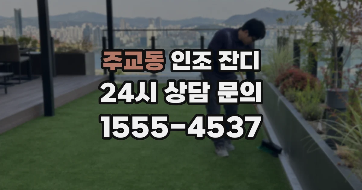 주교동 인조 잔디