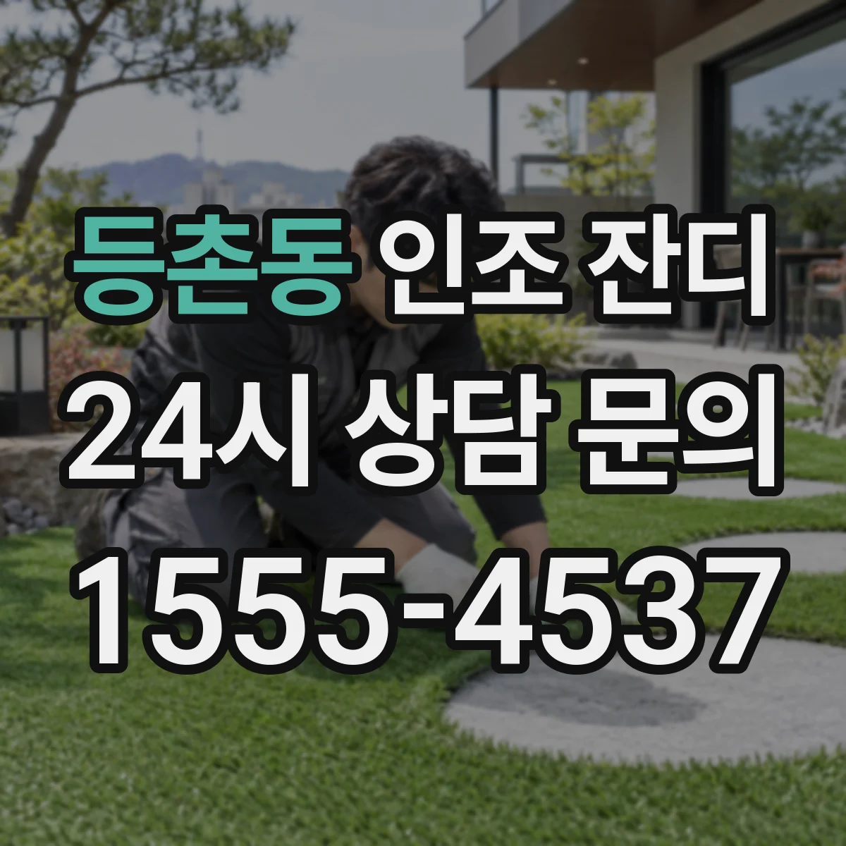 등촌동 인조 잔디
