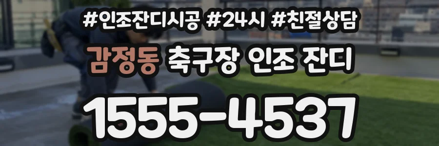 감정동 축구장 인조 잔디
