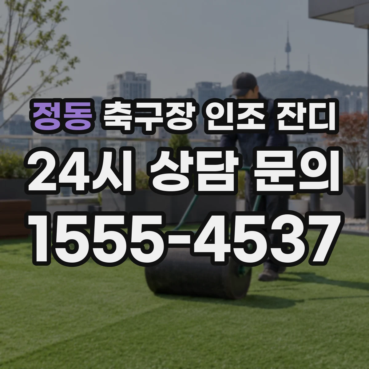 정동 축구장 인조 잔디
