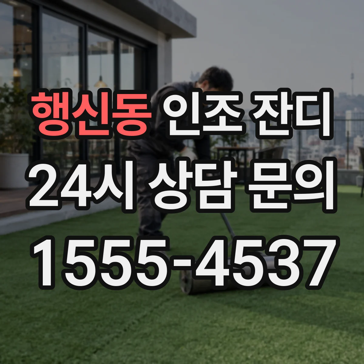 행신동 인조 잔디