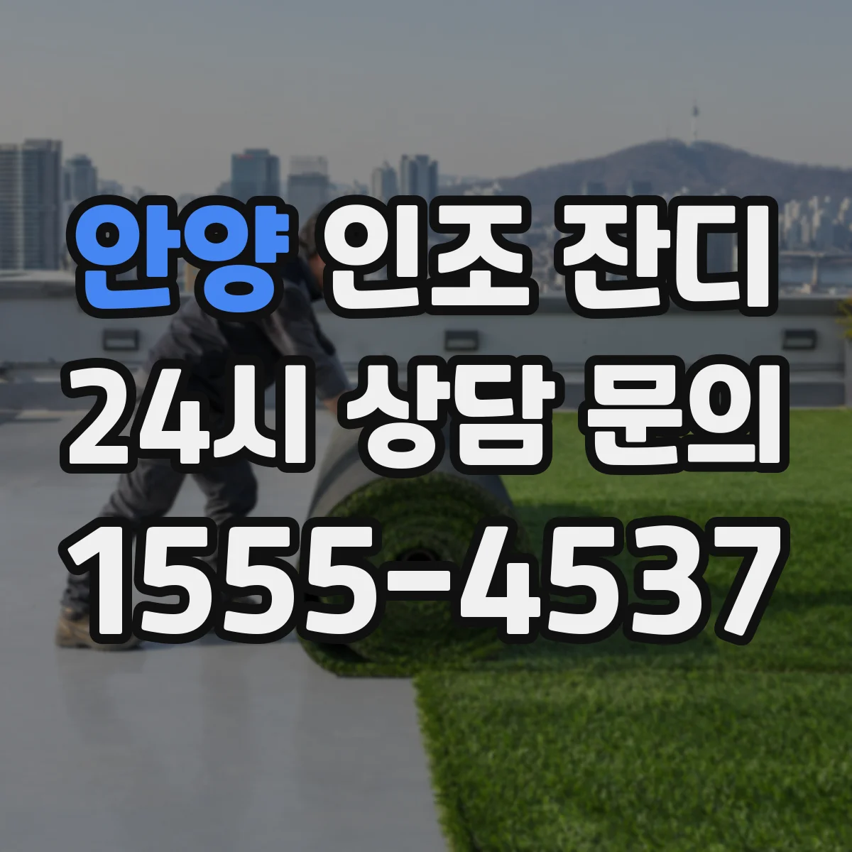 안양 인조 잔디