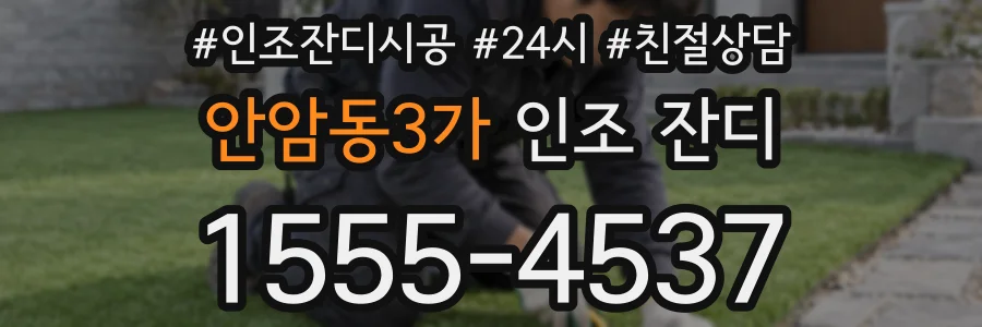 안암동3가 인조 잔디
