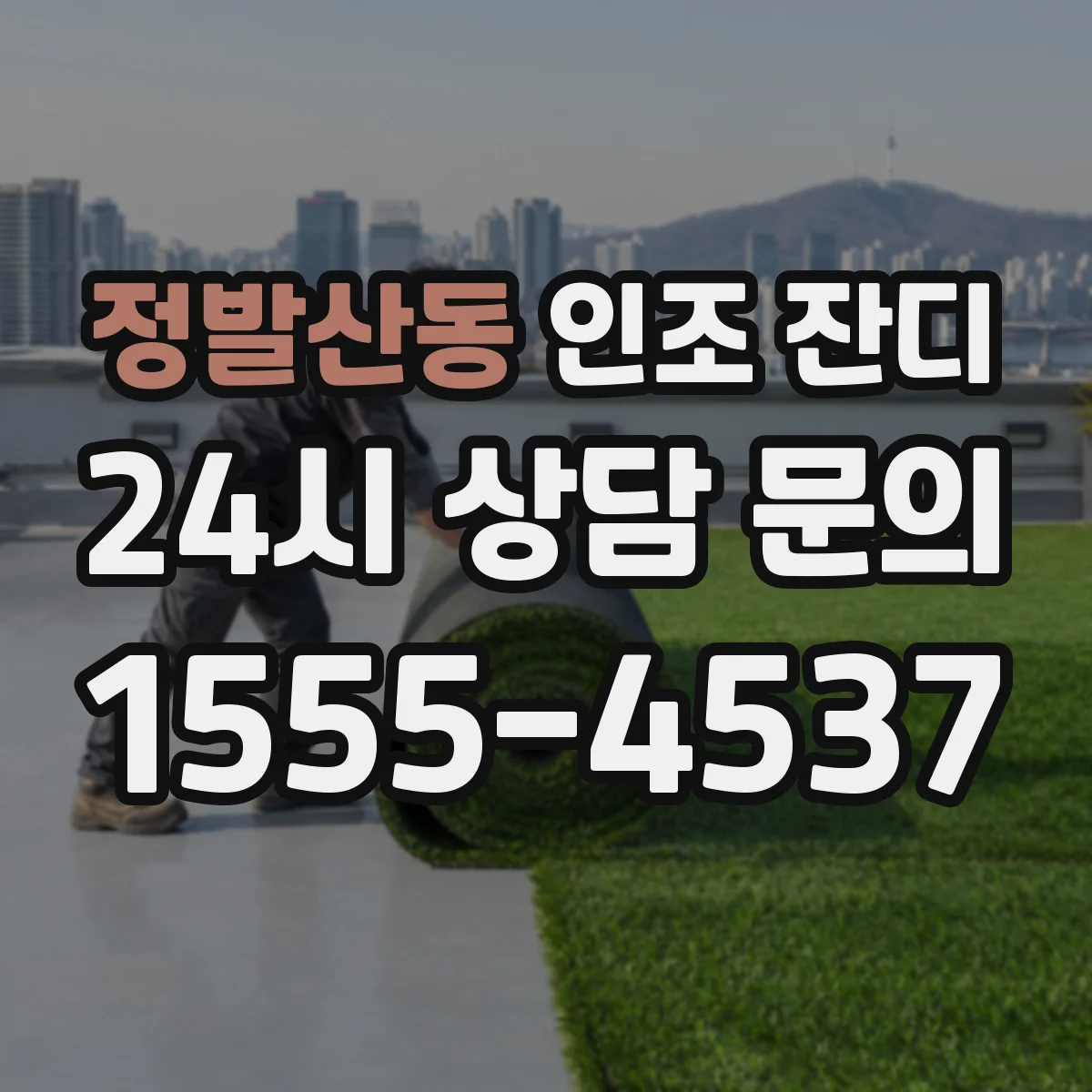 정발산동 인조 잔디