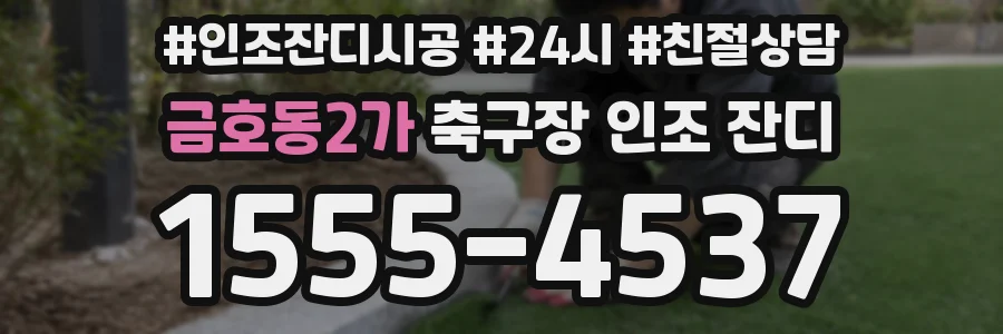 금호동2가 축구장 인조 잔디