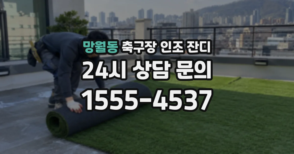 망월동 축구장 인조 잔디