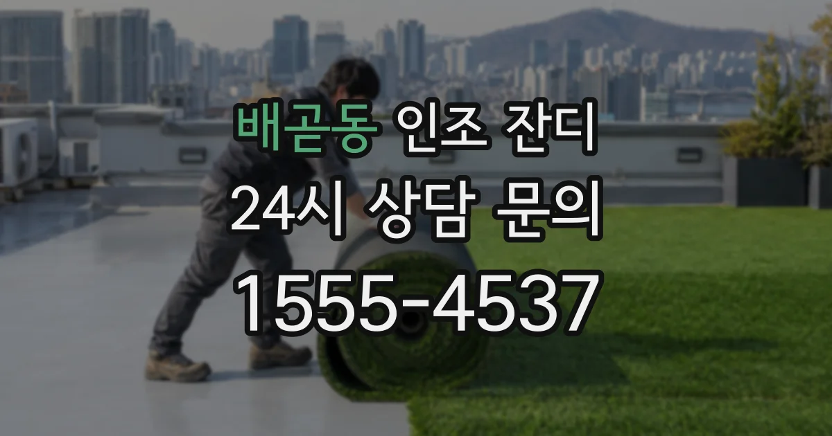 배곧동 인조 잔디