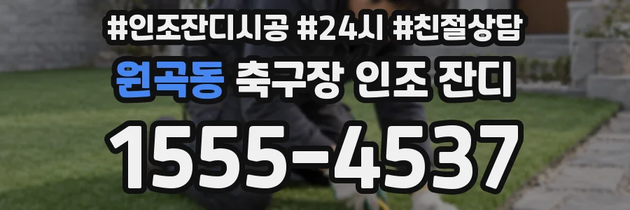 원곡동 축구장 인조 잔디