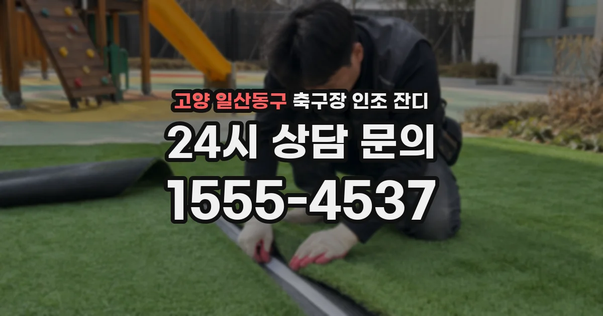 고양 일산동구 축구장 인조 잔디