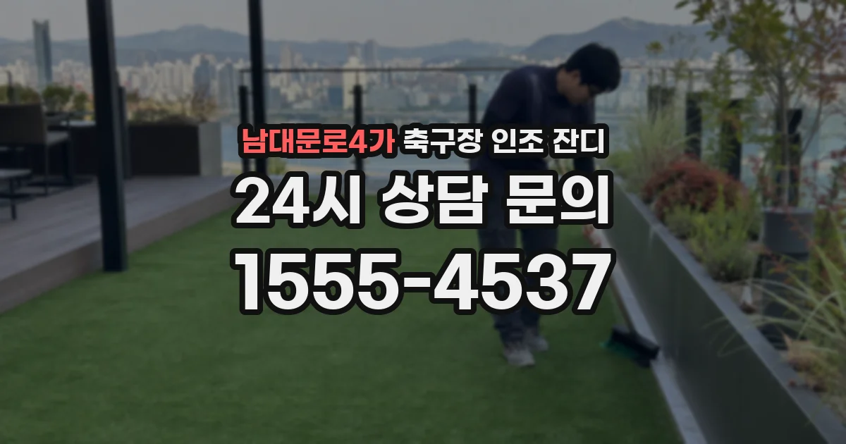 남대문로4가 축구장 인조 잔디