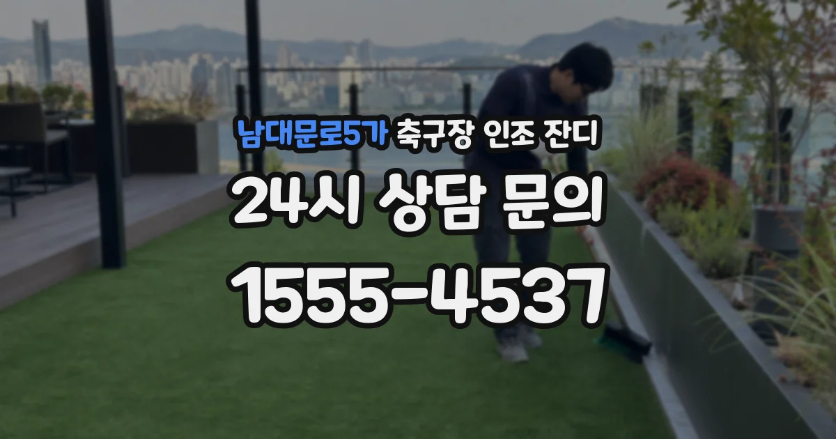 남대문로5가 축구장 인조 잔디