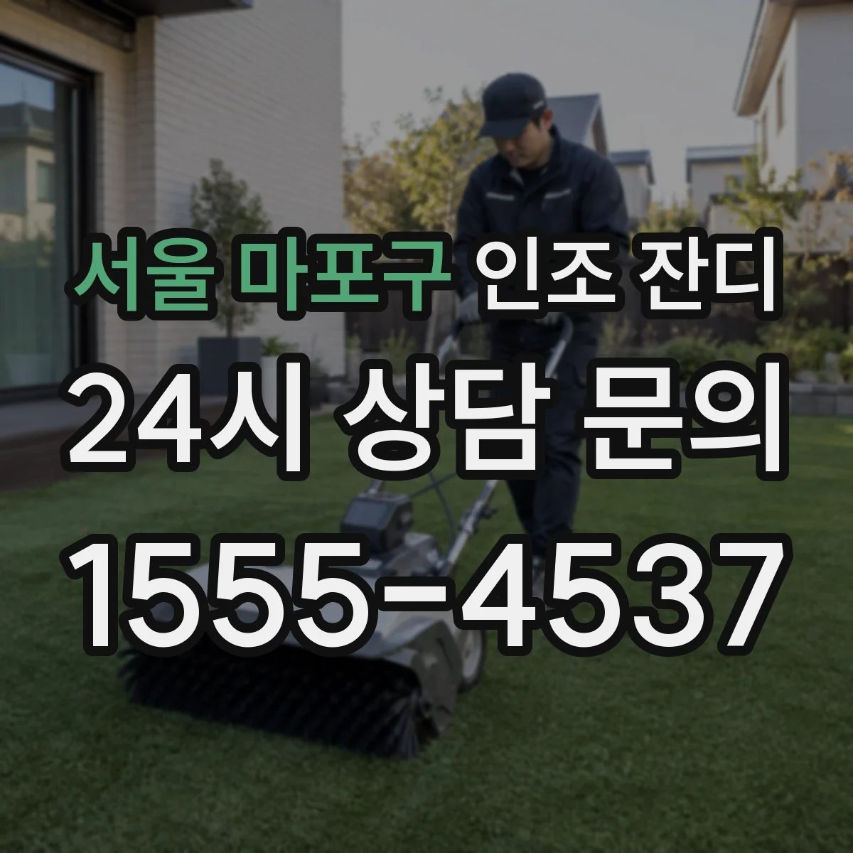 서울 마포구 인조 잔디