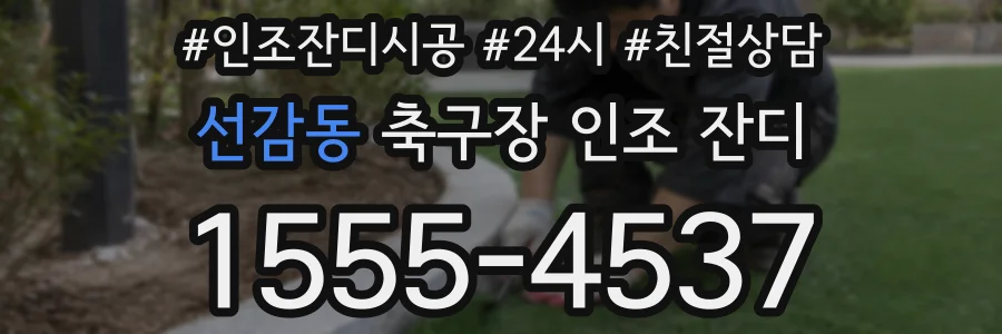 선감동 축구장 인조 잔디