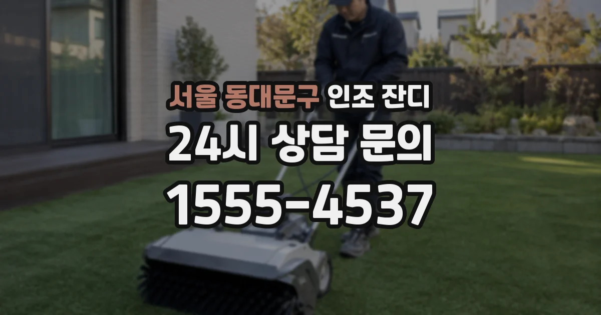 서울 동대문구 인조 잔디