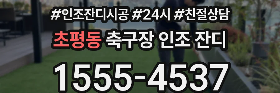 초평동 축구장 인조 잔디