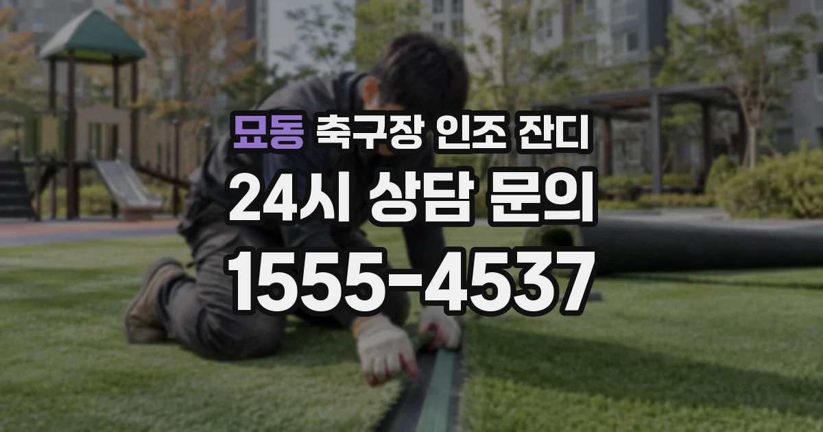 묘동 축구장 인조 잔디