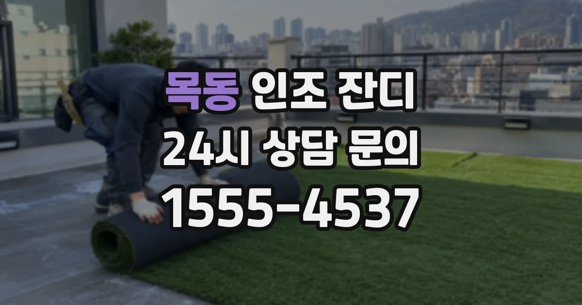 목동 인조 잔디