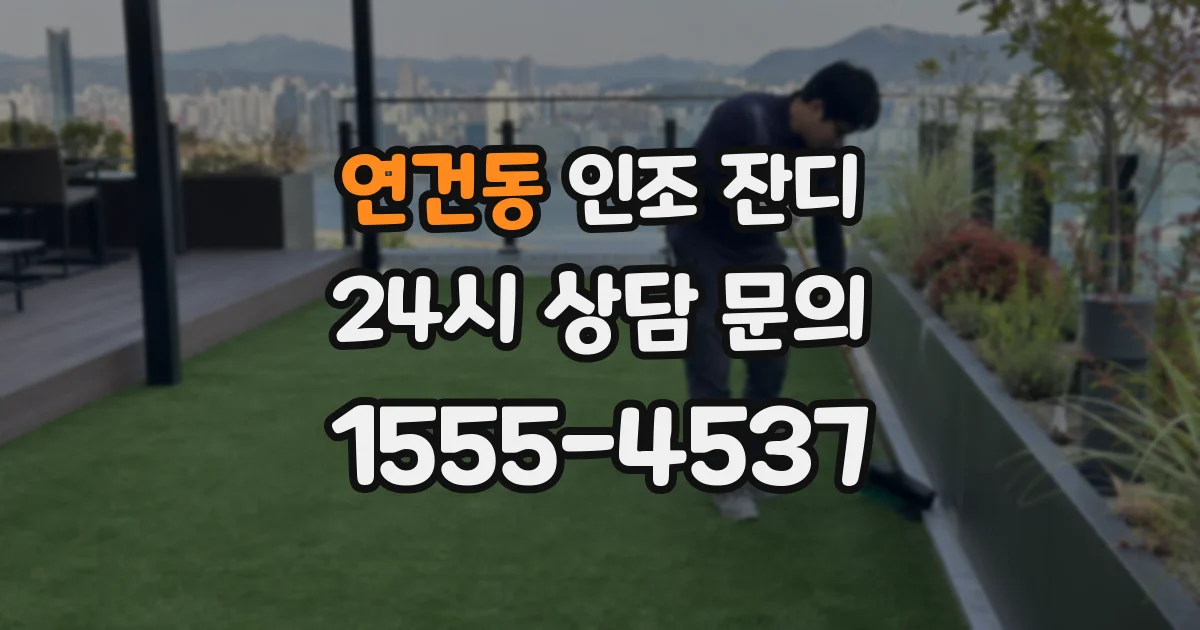 연건동 인조 잔디