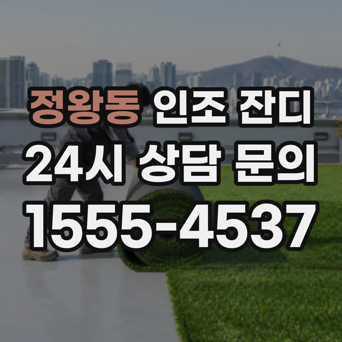 정왕동 인조 잔디