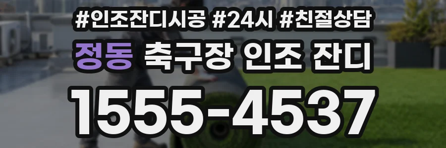 정동 축구장 인조 잔디