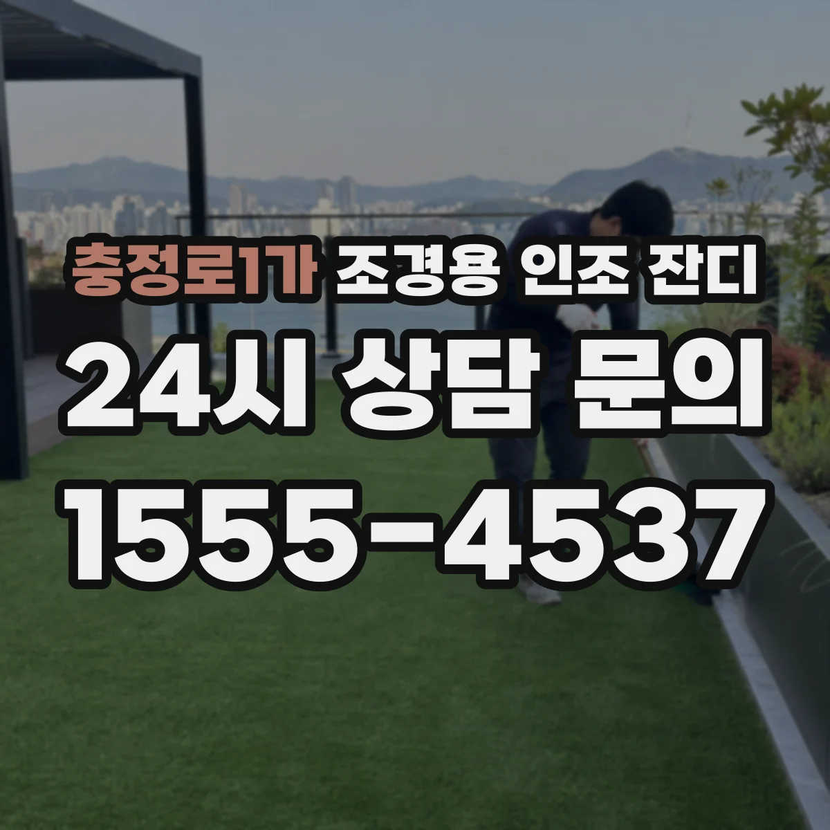 충정로1가 조경용 인조 잔디