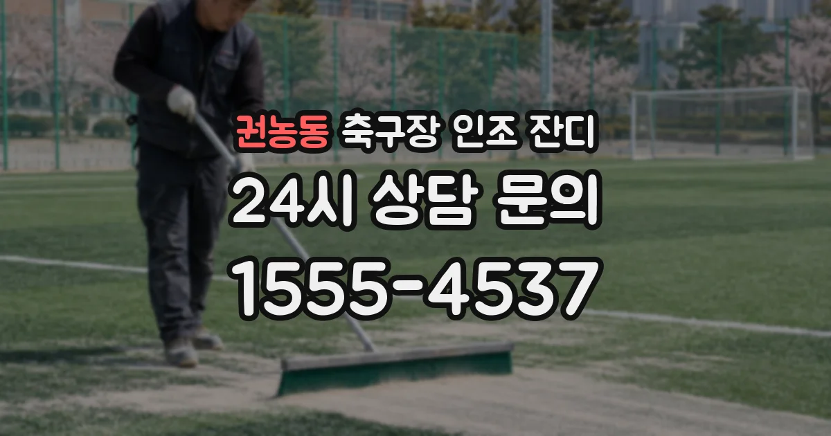 권농동 축구장 인조 잔디