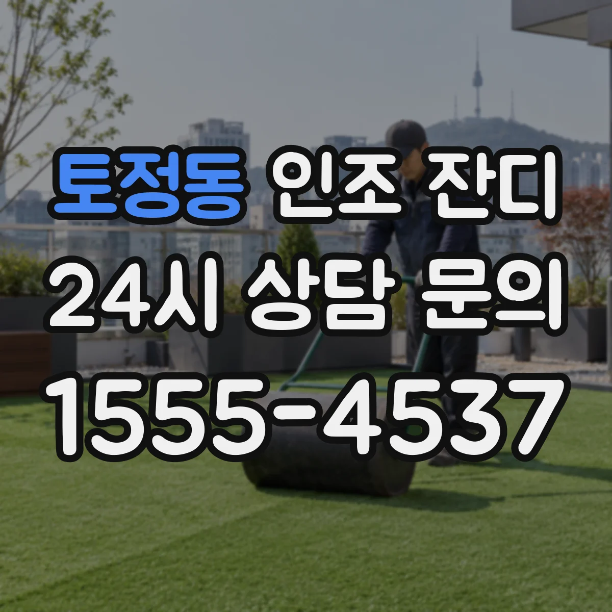 토정동 인조 잔디