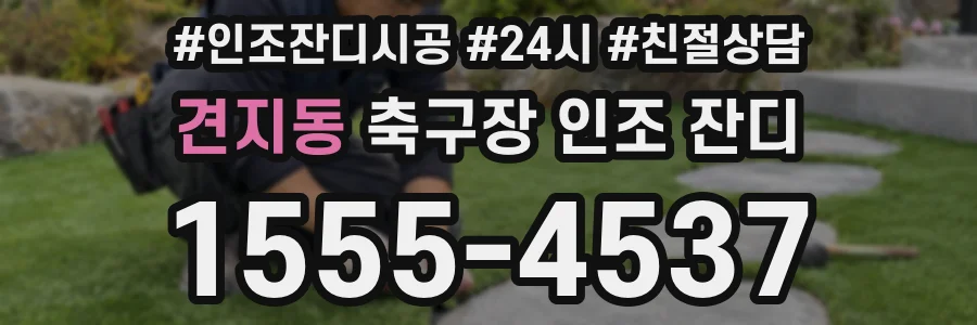 견지동 축구장 인조 잔디
