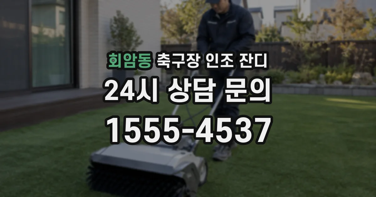 회암동 축구장 인조 잔디