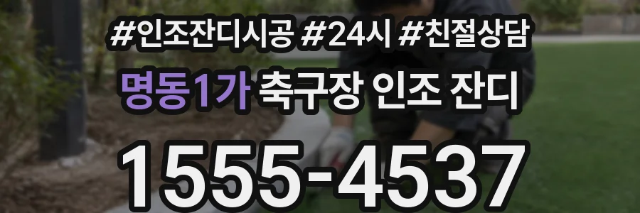 명동1가 축구장 인조 잔디