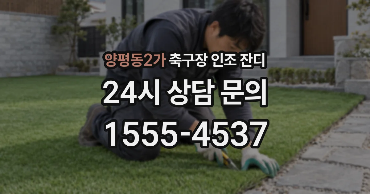 양평동2가 축구장 인조 잔디