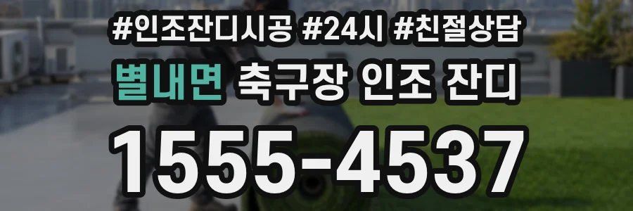 별내면 축구장 인조 잔디