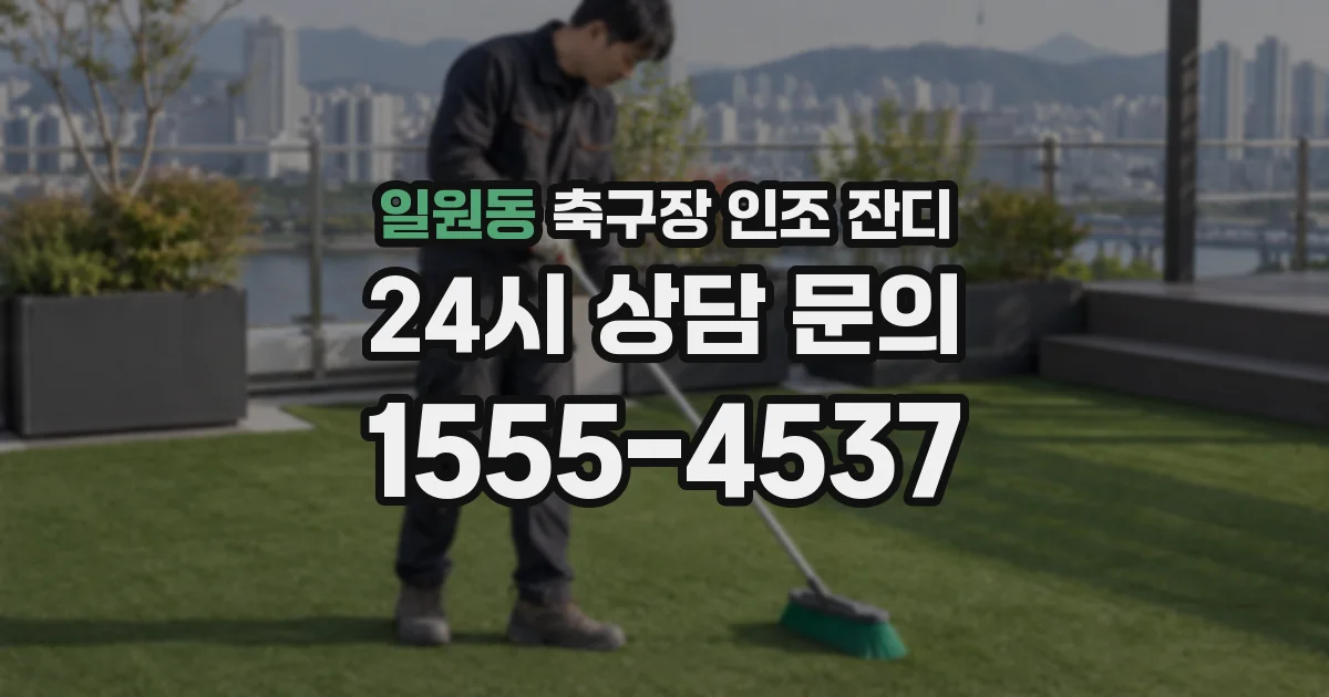 일원동 축구장 인조 잔디