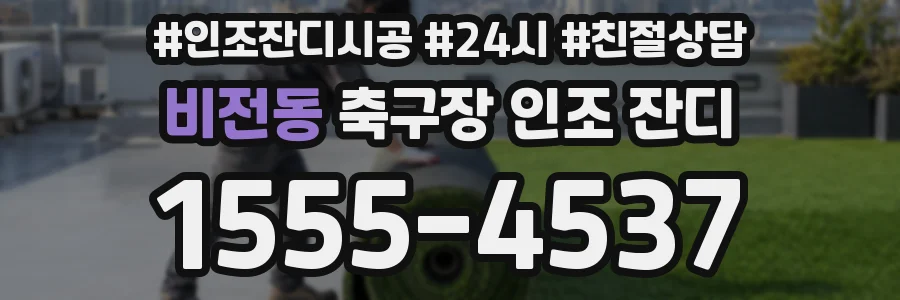 비전동 축구장 인조 잔디