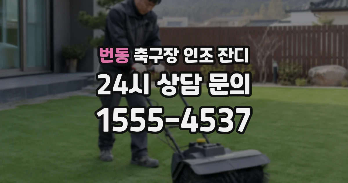 번동 축구장 인조 잔디