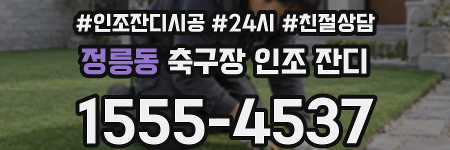 정릉동 축구장 인조 잔디