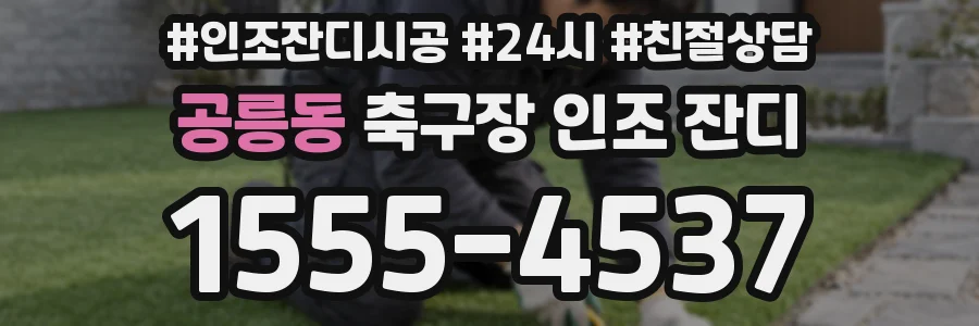 공릉동 축구장 인조 잔디