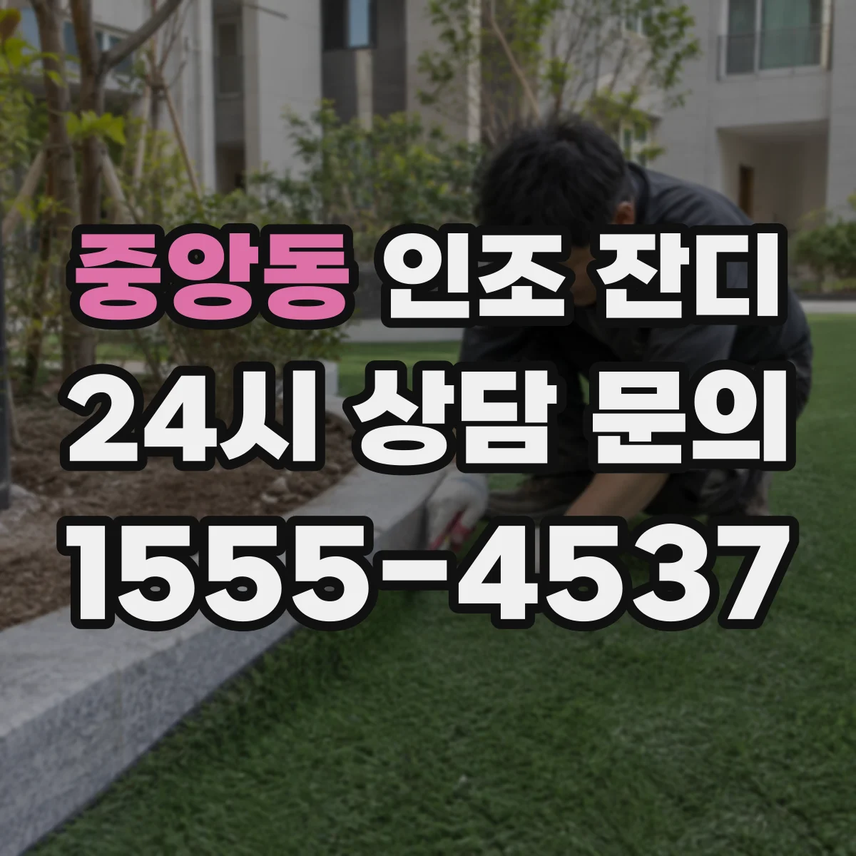 중앙동 인조 잔디