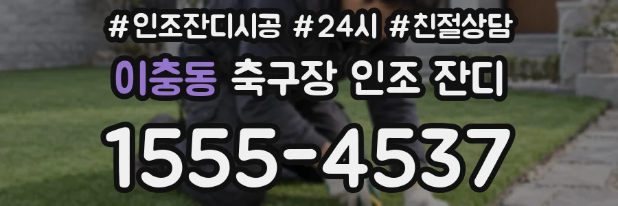 이충동 축구장 인조 잔디